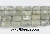 CTB876 13*25mm - 14*19mm faceted tube moonstone beads