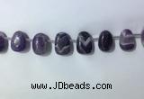 CTD2144 Top drilled 15*25mm - 18*25mm freeform dogtooth amethyst beads