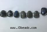 CTD2151 Top drilled 15*25mm - 18*25mm freeform labradorite beads