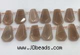 CTD2333 Top drilled 16*18mm - 20*30mm faceted freeform moonstone beads