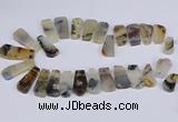 CTD2733 Top drilled 15*25mm - 20*35mm freeform montana agate beads