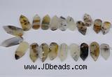 CTD2734 Top drilled 15*28mm - 18*45mm freeform montana agate beads