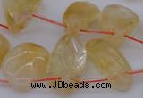 CTD323 Top drilled 15*20mm - 20*30mm freeform citrine beads