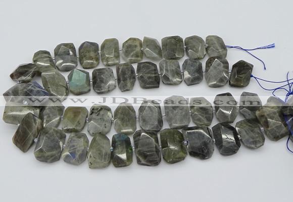 CTD3573 15.5 inches 15*20mm - 18*25mm freeform labradorite beads