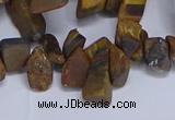 CTD3616 Top drilled 10*14mm - 13*18mm nuggets yellow tiger eye beads