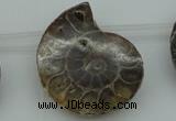 CTD365 Top drilled 25*35mm - 35*45mm carved ammonite gemstone beads