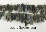 CTD3739 Top drilled 8*20mm - 10*50mm sticks labradorite beads