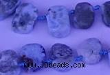 CTD3889 Top drilled 12*16mm - 13*17mm freeform larimar beads