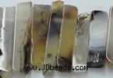 CTD831 Top drilled 8*30mm - 12*70mm sticks montana agate beads