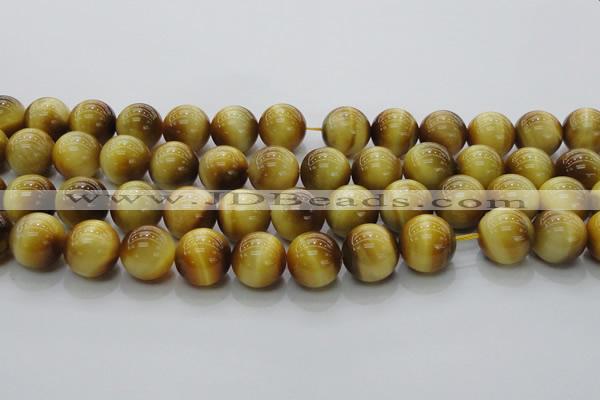 CTE1405 15.5 inches 14mm round golden tiger eye beads wholesale