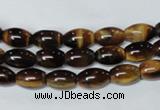 CTE158 15.5 inches 8*12mm rice yellow tiger eye gemstone beads