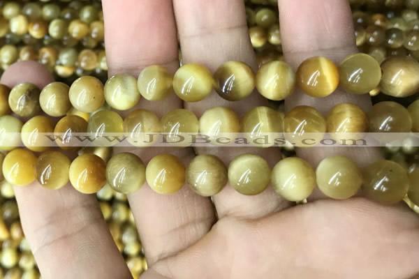 CTE2011 15.5 inches 12mm round golden tiger eye beads wholesale