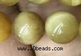 CTE2012 15.5 inches 14mm round golden tiger eye beads wholesale