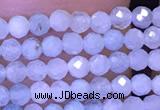 CTG1043 15.5 inches 2mm faceted round tiny aquamarine beads