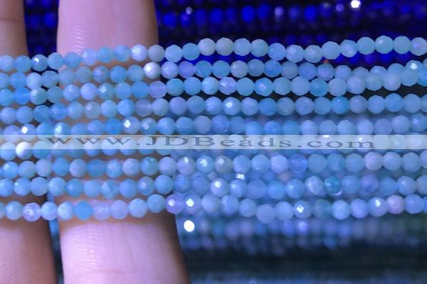 CTG1050 15.5 inches 2mm faceted round tiny amazonite beads