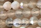 CTG1207 15.5 inches 4mm faceted round tiny rainbow moonstone beads