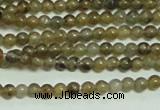 CTG133 15.5 inches 3mm round tiny labradorite gemstone beads wholesale