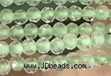 CTG1346 15.5 inches 2mm faceted round prehnite beads wholesale