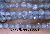 CTG1416 15.5 inches 2mm faceted round apatite beads wholesale