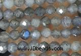 CTG1459 15.5 inches 2mm faceted round labradorite beads wholesale