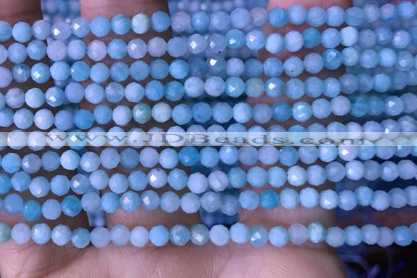 CTG1495 15.5 inches 3mm faceted round amazonite beads wholesale