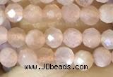 CTG1502 15.5 inches 3mm faceted round moonstone beads wholesale