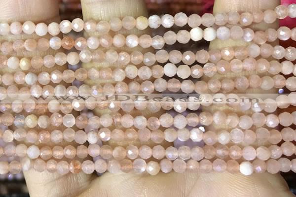 CTG1502 15.5 inches 3mm faceted round moonstone beads wholesale