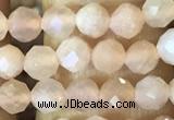 CTG1544 15.5 inches 4mm faceted round moonstone beads wholesale