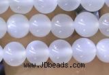 CTG1581 15.5 inches 4mm round white moonstone beads wholesale