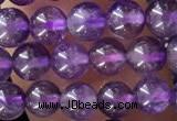 CTG1584 15.5 inches 4mm round amethyst gemstone beads wholesale