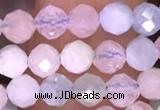 CTG1606 15.5 inches 4mm faceted round tiny morganite beads