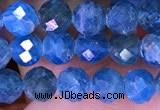 CTG1616 15.5 inches 5mm faceted round tiny apatite beads