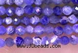 CTG1665 15.5 inches 2mm faceted round tiny sodalite beads