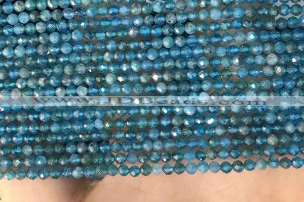 CTG2130 15 inches 2mm,3mm faceted round apatite gemstone beads