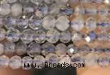 CTG2133 15 inches 2mm,3mm faceted round labradorite gemstone beads