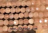 CTG2138 15 inches 2mm,3mm faceted round sunstone gemstone beads