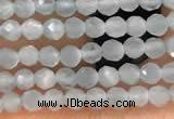 CTG2145 15 inches 2mm,3mm faceted round aquamarine gemstone beads