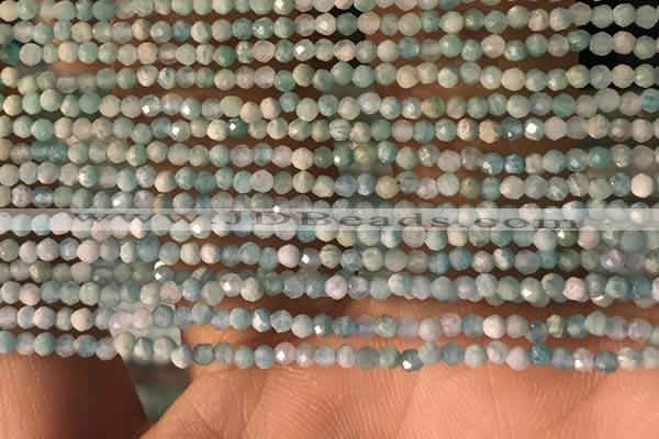 CTG2154 15 inches 2mm,3mm faceted round amazonite gemstone beads