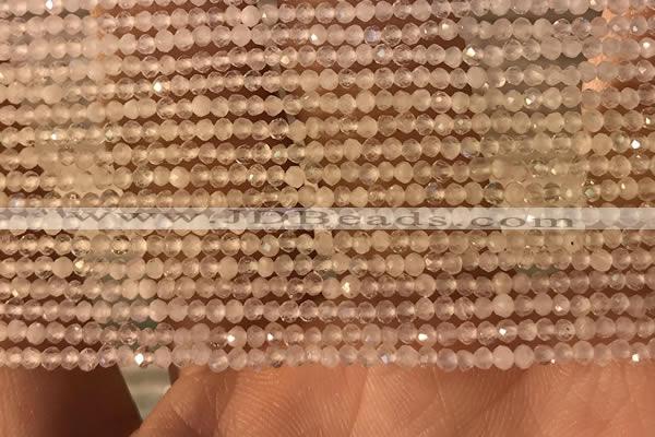 CTG2156 15 inches 2mm,3mm faceted round white moonstone beads