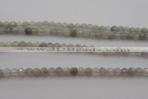 CTG217 15.5 inches 3mm faceted round tiny labradorite beads