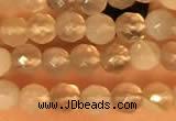 CTG2209 15 inches 2mm,3mm faceted round botswana agate beads