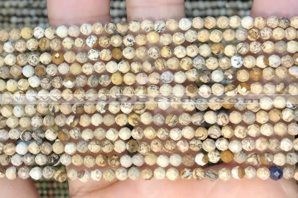 CTG2213 15 inches 2mm,3mm faceted round picture jasper beads