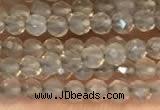 CTG2255 15 inches 2mm faceted round grey agate beads