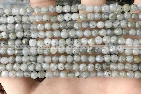 CTG3585 15.5 inches 4mm faceted round labradorite beads