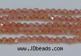 CTG609 15.5 inches 2mm faceted round golden sunstone beads