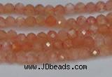 CTG610 15.5 inches 3mm faceted round golden sunstone beads