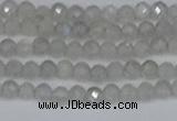 CTG613 15.5 inches 3mm faceted round labradorite beads