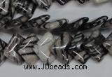 CTJ62 15.5 inches 12*12mm diamond black water jasper beads wholesale