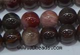 CWJ503 15.5 inches 10mm round Xinjiang wood jasper beads wholesale