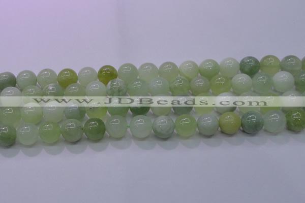 CXJ203 15.5 inches 10mm round New jade beads wholesale